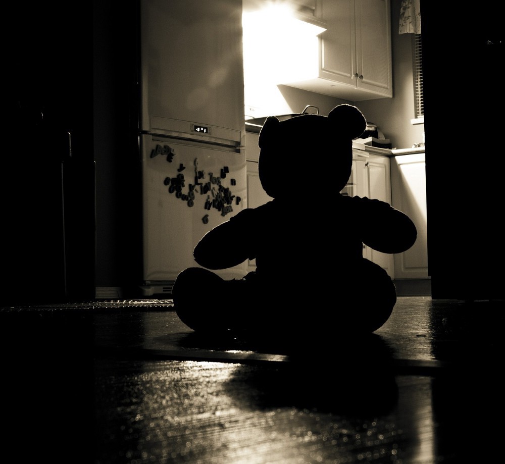 Picture of a teddy bear on the shadow